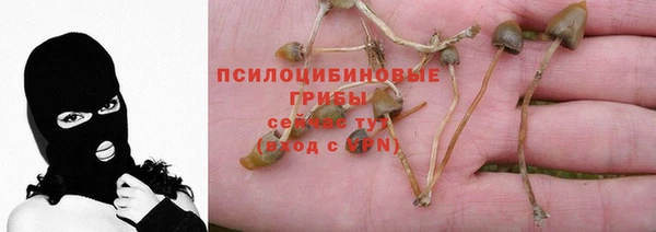 мяу мяу мука Алексин