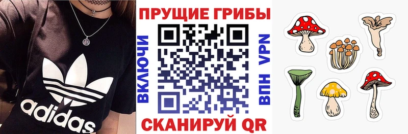цена   Арзамас  Псилоцибиновые грибы прущие грибы 